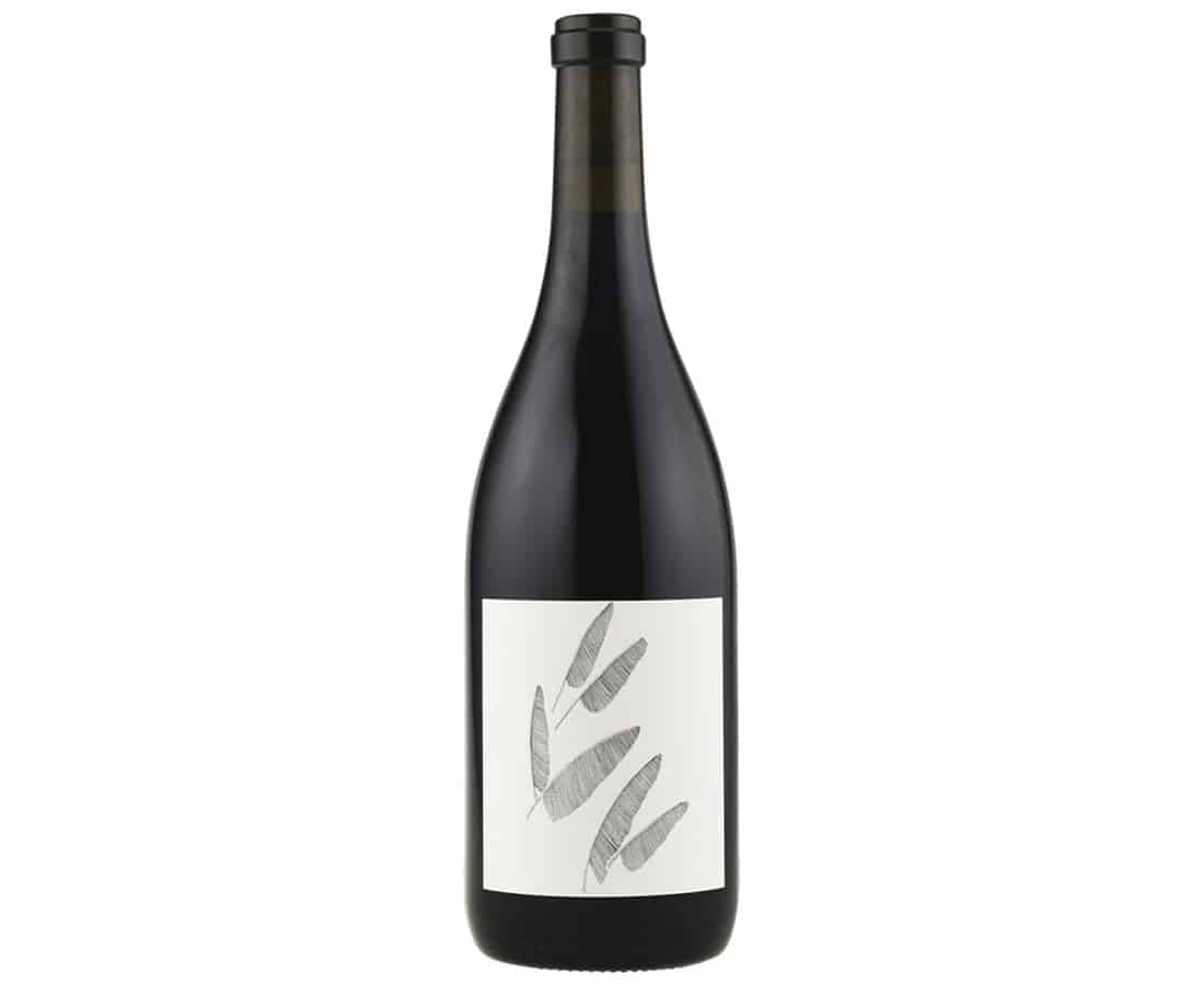 Know Your Wine Your Ultimate Guide To Classic Reds, & How To Find The