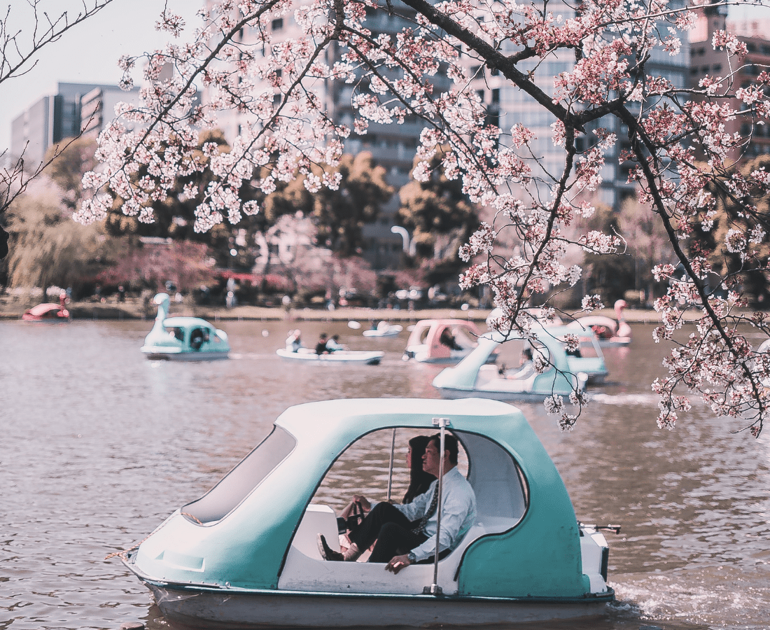 Boating at Ueno Park in Tokyo