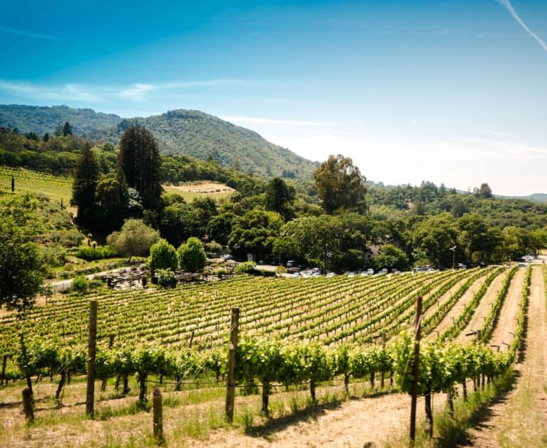 California Wine Month 2023: Where to go in Singapore for A Taste of California’s Best