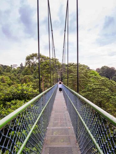 MacRitchie Treetop walk