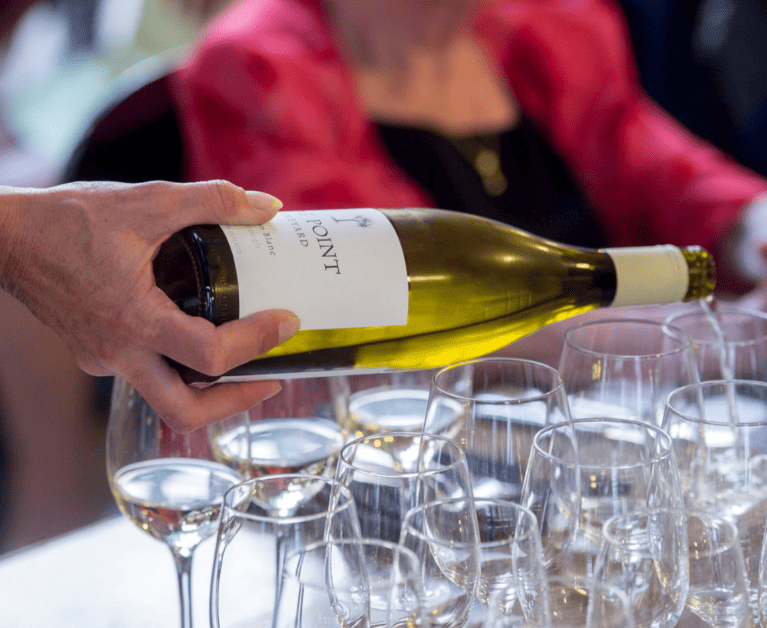 Guide to white wines Dog Point Sauvignon Blanc (Organic) 2022