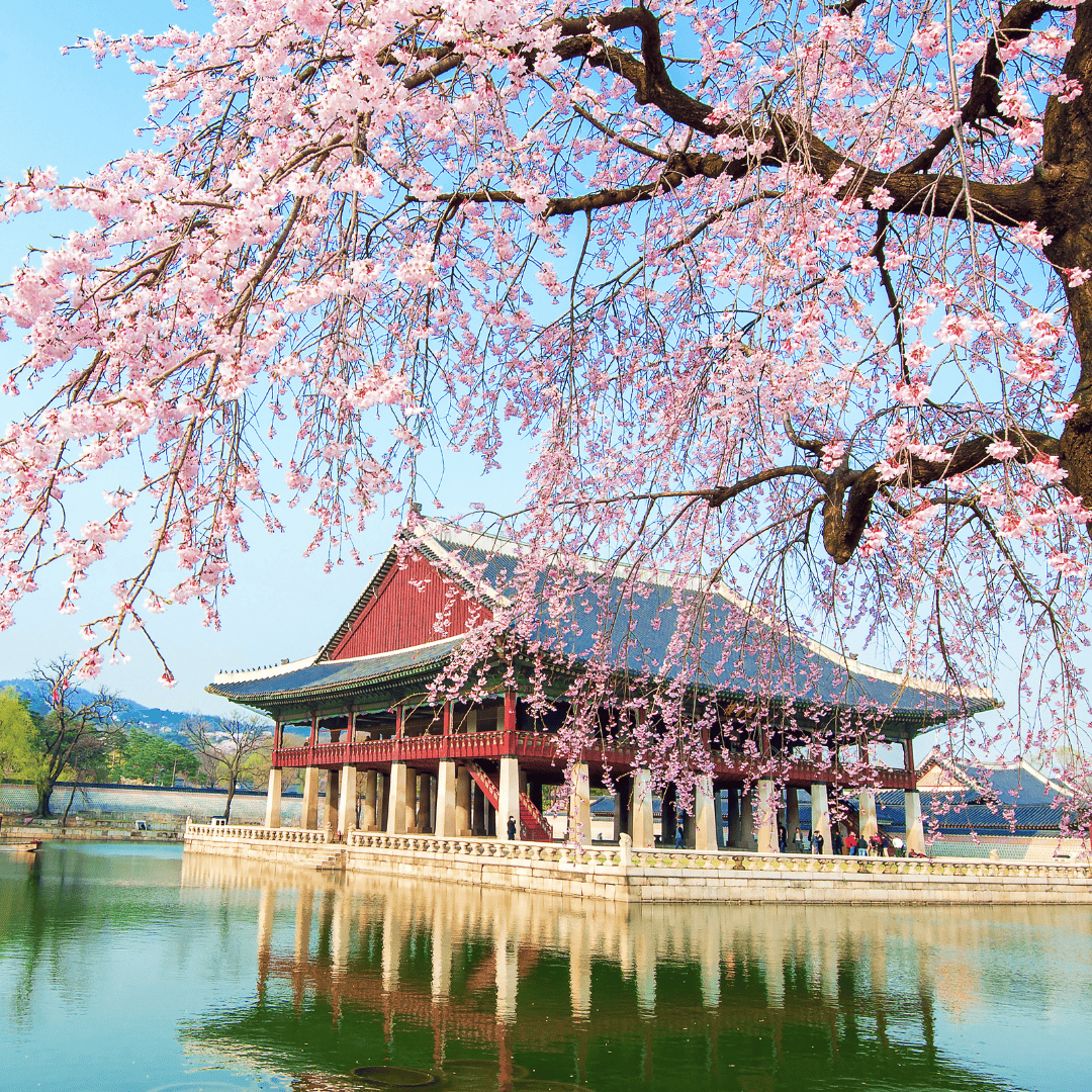 Gyeongbokgung Palace, korea