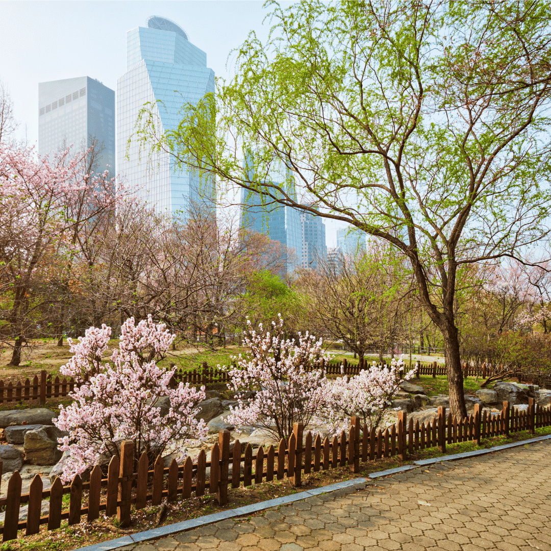 Yeouido Hangang Park - Deposit Photos