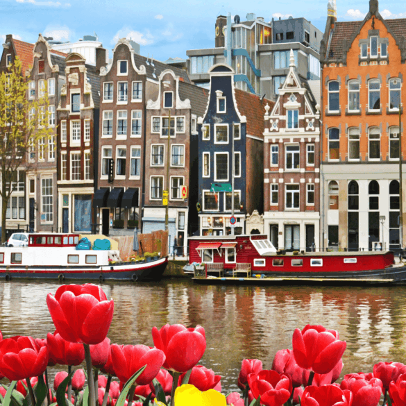 Amsterdam - Header Image