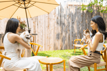 One holland village mall