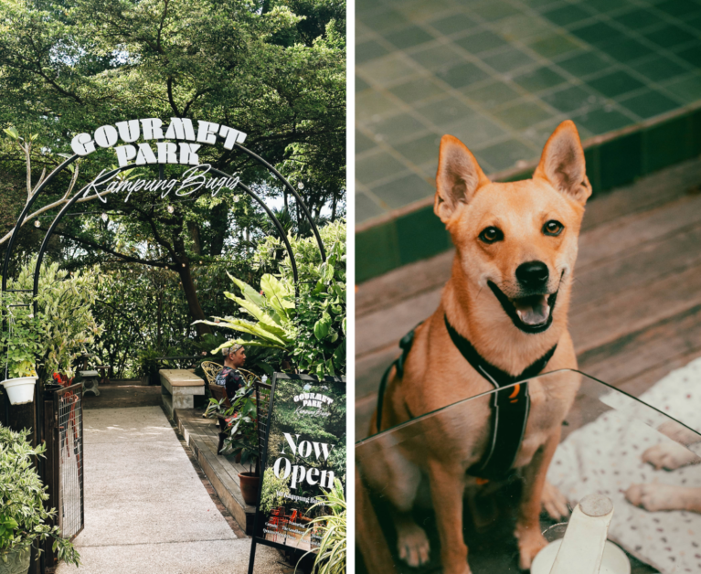 Gourmet Park Kampong Bugis Pet Friendly spots