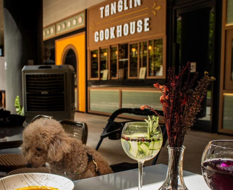 Pet friendly dining and drinking spot Tanglin Cookhouse