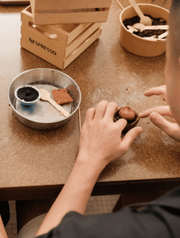 GREEN-HOUSE 2024 Reimagine zone