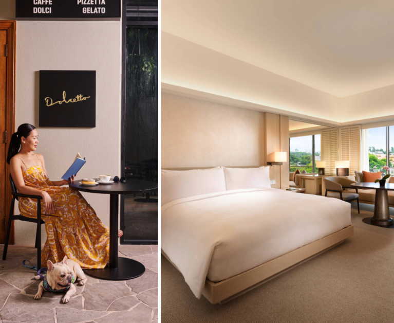 Conrad Singapore Orchard Pet friendly hotel