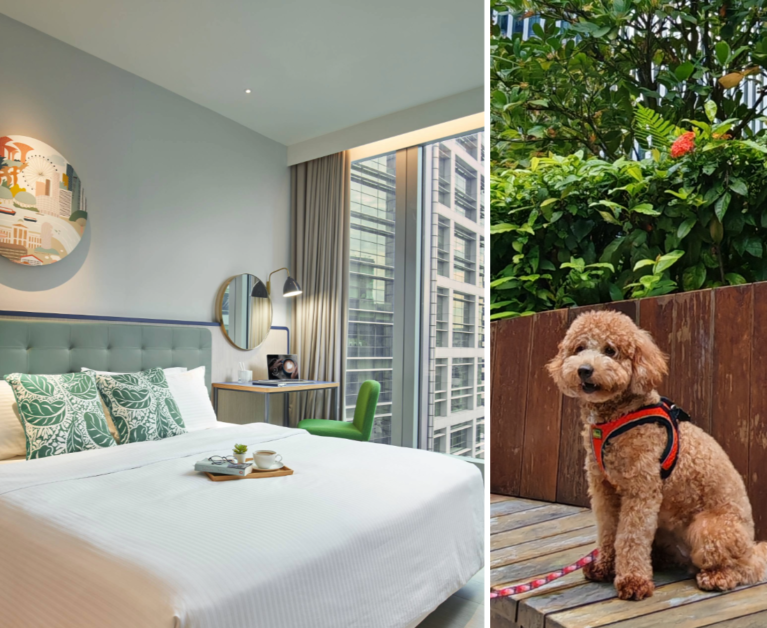 Pet Friendly residences Citadines Raffles Place