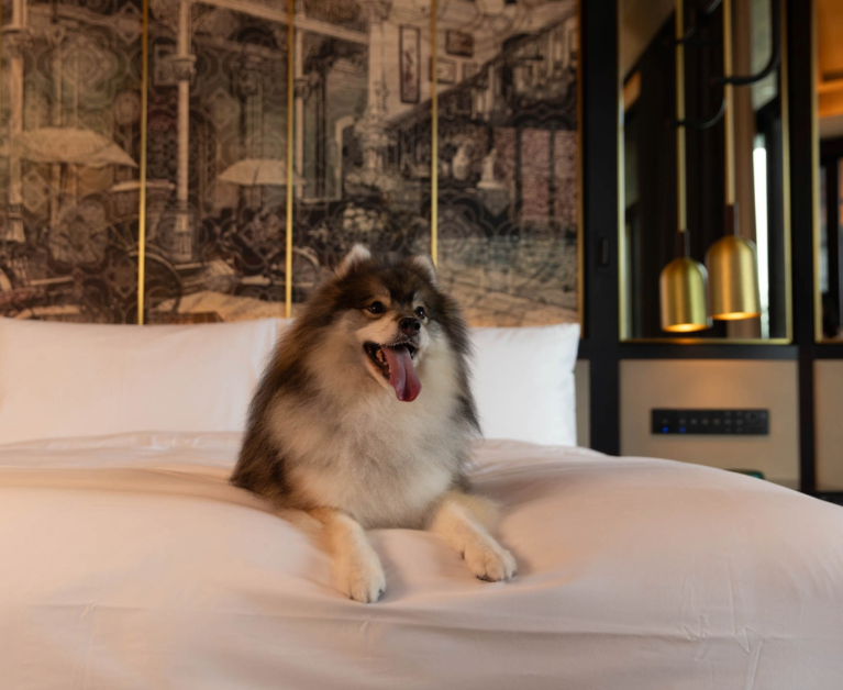 Pet-Friendly Hotels In Singapore For A Paw-Some Getaway With Your Furry Friends