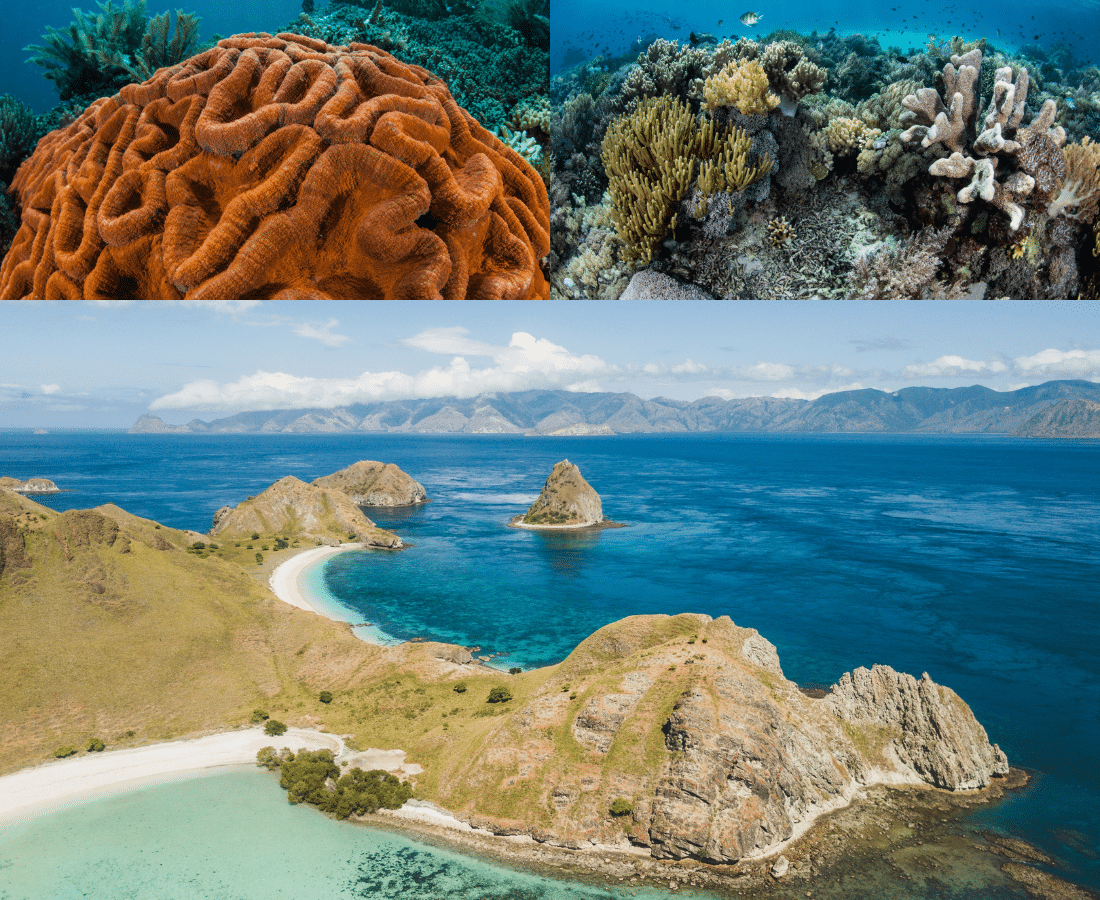 Komodo National Park, Indonesia