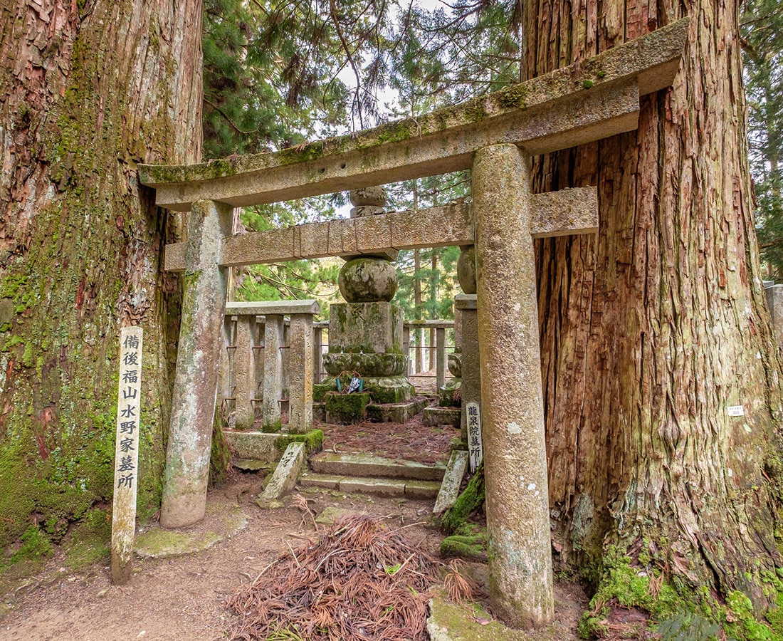 mount koya_japan