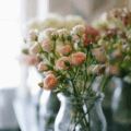 roses in vases