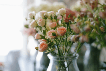 roses in vases