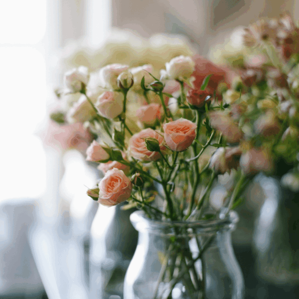 roses in vases