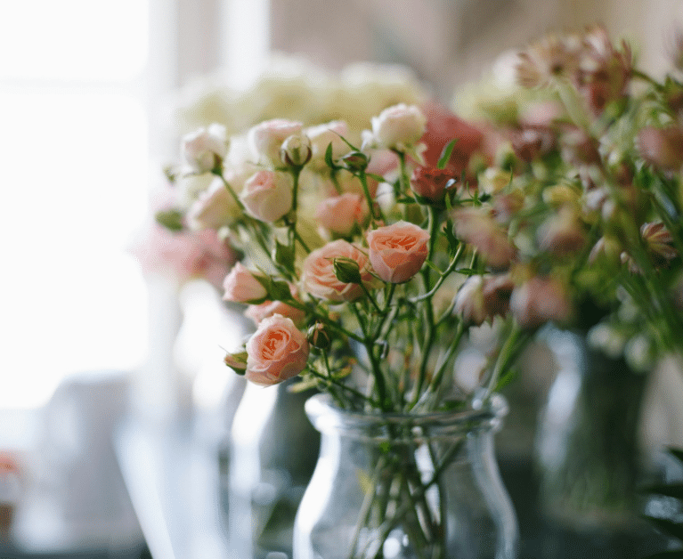 roses in vases