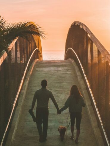 couple and their dog walking into sunset