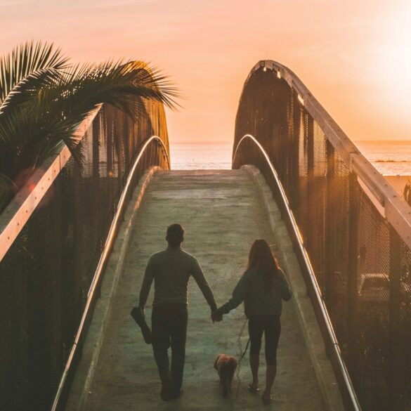 couple and their dog walking into sunset