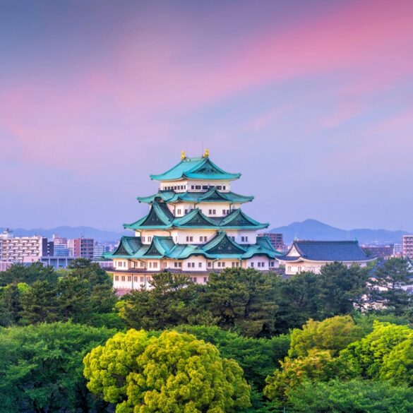 a photo of nagoya castle and the city skyline