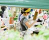 a photo of a Japanese woman tending to her stall at Higashi Betsuin Kurashi Morning Market in Nagoya, Japan