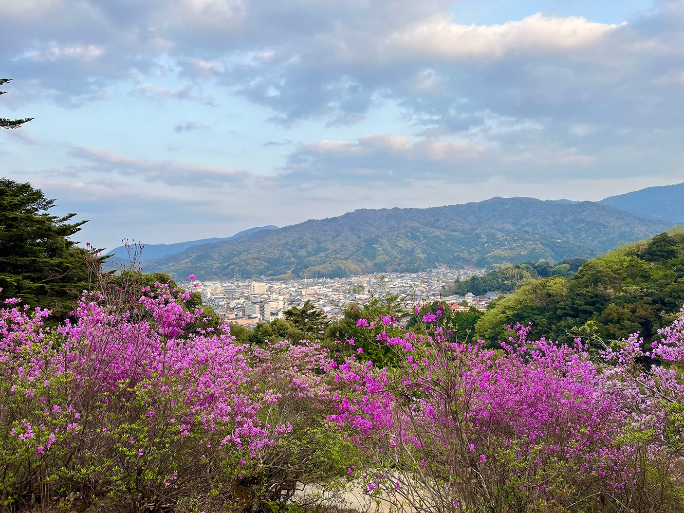 Scenic springtime view from Mount Takigami Observation Deck overlooking Miyazu City and Amanohashidate sandbar, Kyoto, Japan.