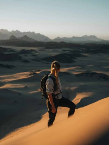 Nature Reserve – NEOM, Saudi Arabia | The NEOM Nature Reserve region is being designed to deliver protection and restoration of biodiversity across 95% of NEOM.