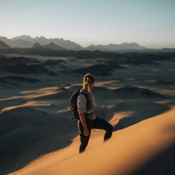 Nature Reserve – NEOM, Saudi Arabia | The NEOM Nature Reserve region is being designed to deliver protection and restoration of biodiversity across 95% of NEOM.