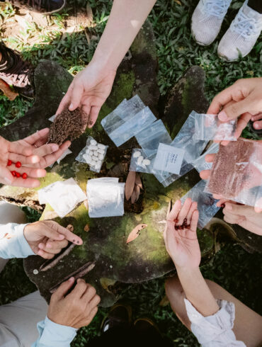 Hands exchanging seeds and soil samples during a nature-based workshop at the Living Earth Festival in Singapore, fostering biodiversity and community learning.