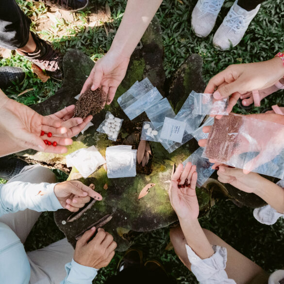 Hands exchanging seeds and soil samples during a nature-based workshop at the Living Earth Festival in Singapore, fostering biodiversity and community learning.