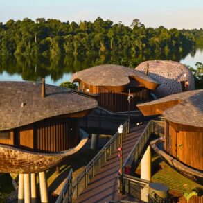 Scenic shot of the eco-conscious treehouse villas at Mandai Rainforest Resort by Banyan Tree, overlooking the Upper Seletar Reservoir in Singapore.