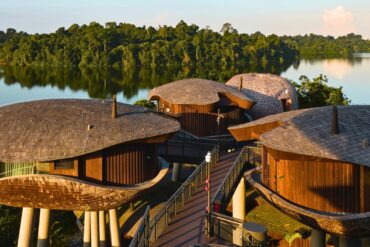 Scenic shot of the eco-conscious treehouse villas at Mandai Rainforest Resort by Banyan Tree, overlooking the Upper Seletar Reservoir in Singapore.