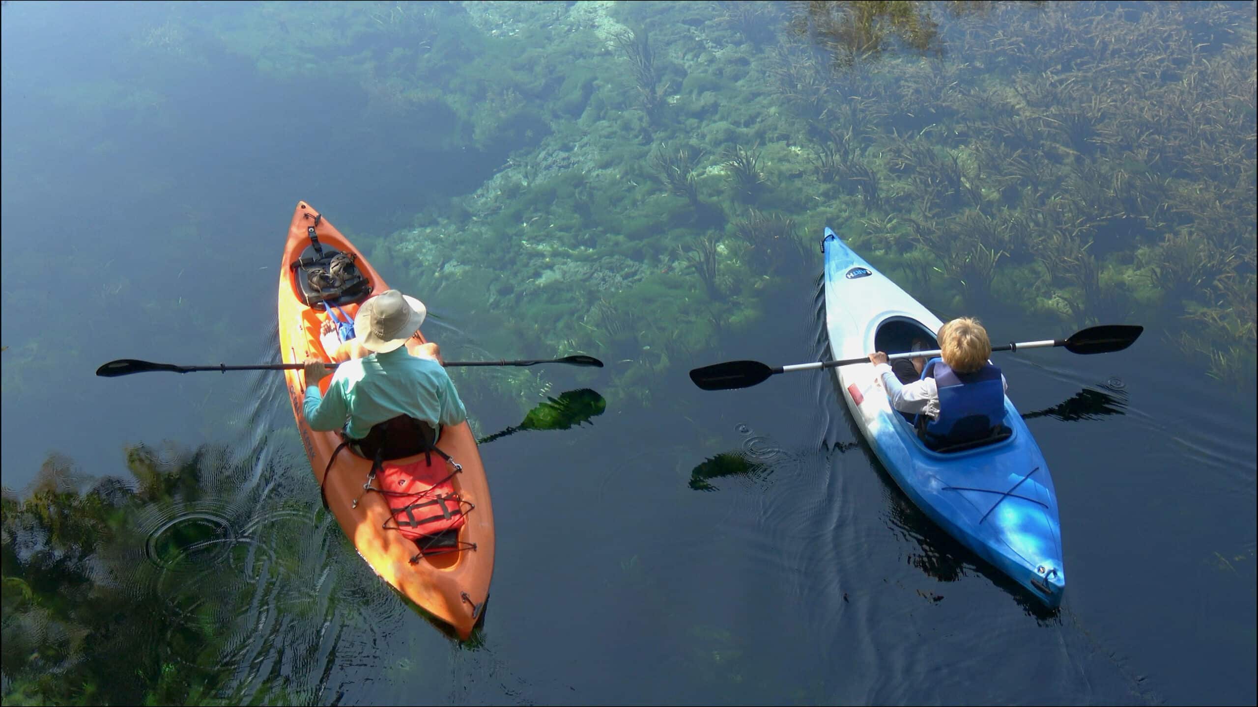 Kayakers exploring calm waters at Silver Springs State Park in Florida, a luxury camping destination known for air-conditioned cabins and wildlife sightings.