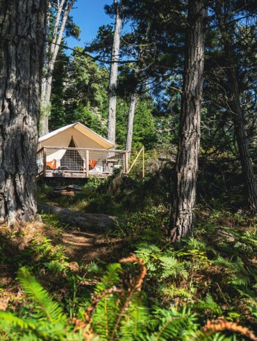 Luxury glamping tent nestled in a shaded pine forest, ideal for air-conditioned camping and eco-friendly retreats in Florida’s state parks.