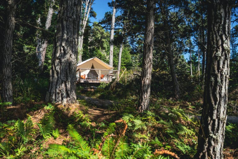 Luxury Camping in Florida: Where to Find Air-Conditioned Cabins, Resorts and More