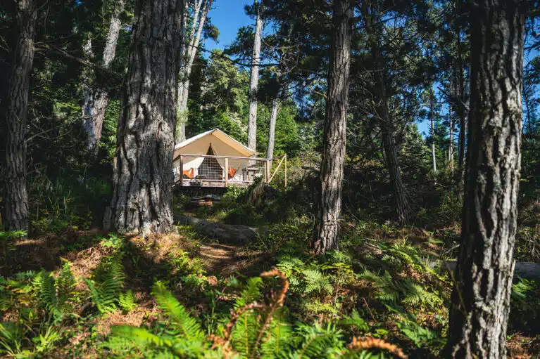 Luxury Camping in Florida: Where to Find Air-Conditioned Cabins, Resorts and More