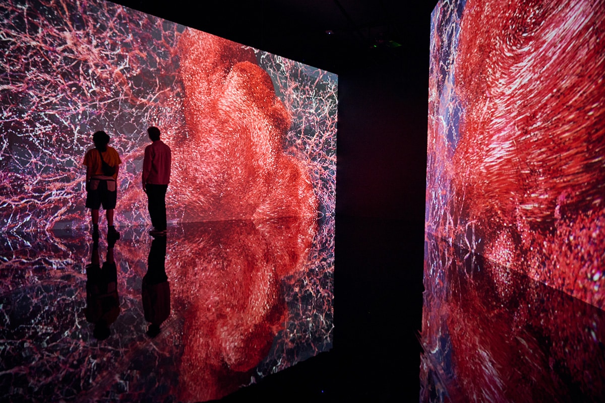 Visitors viewing immersive anatomical visuals at Flesh and Bones: The Art of Anatomy exhibition at ArtScience Museum Singapore.