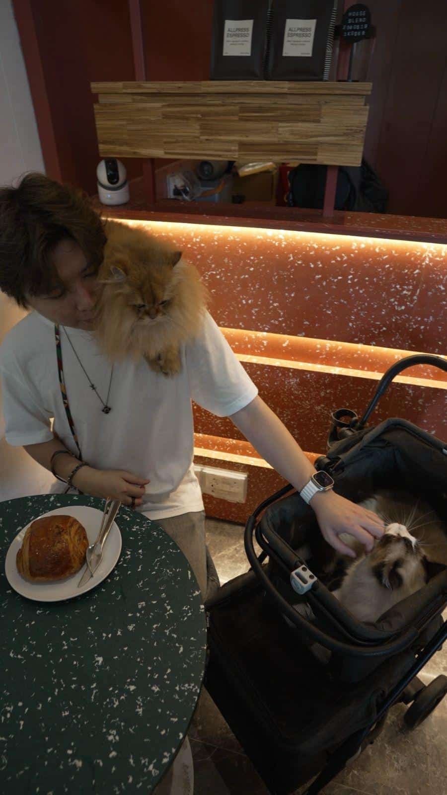 Person sitting at a café table with two cats — one on their shoulder and one in a pet stroller — beside a pastry and coffee.