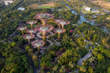 Aerial view of Gardens by the Bay in Singapore, featuring the iconic Supertree Grove structures surrounded by lush tropical greenery — a symbol of Singapore's blend of innovation, urban planning, and long-term vision.