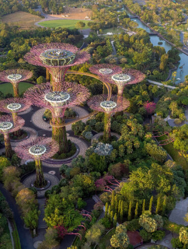 Aerial view of Gardens by the Bay in Singapore, featuring the iconic Supertree Grove structures surrounded by lush tropical greenery — a symbol of Singapore's blend of innovation, urban planning, and long-term vision.
