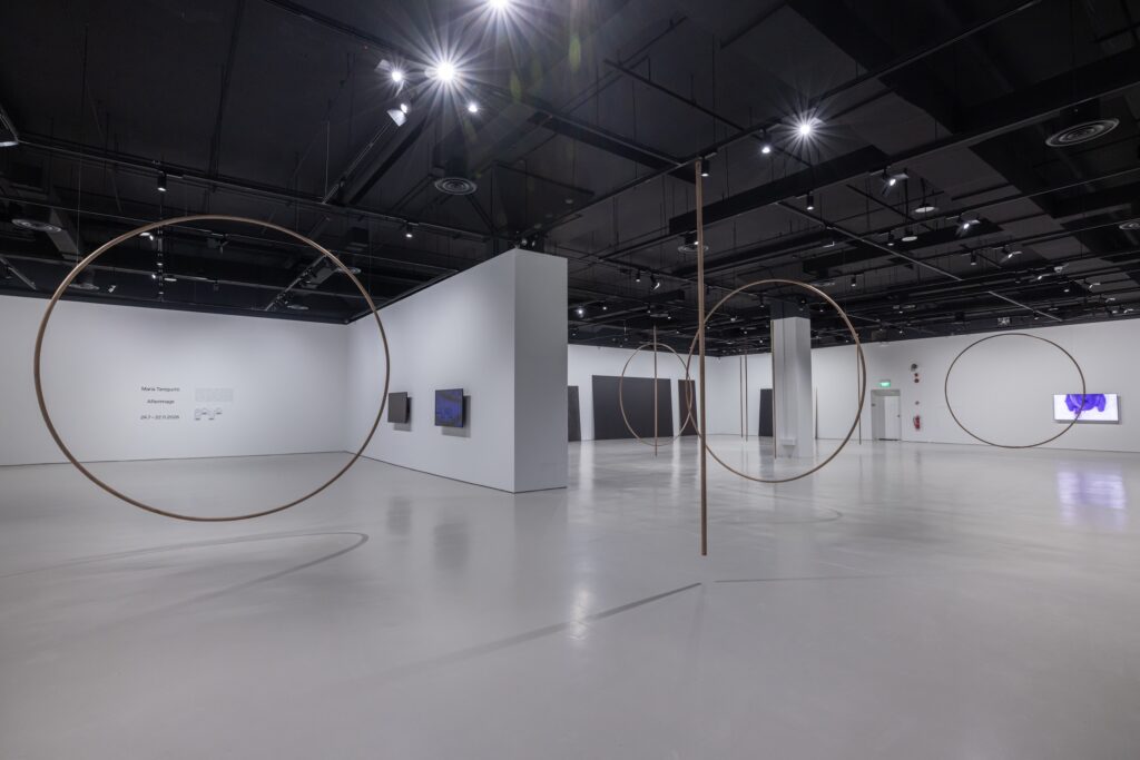 Circular wood sculptures from Maria Taniguchi's Runaways series suspended in the gallery at SAM's Afterimage exhibition, Tanjong Pagar Distripark.