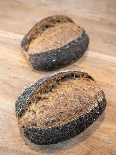 MICRO | bakery kitchen cultivates avocados from leftover seeds in their garden.